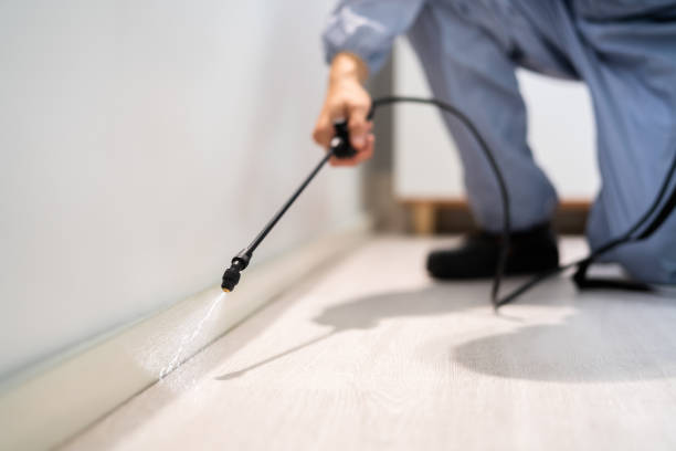 Licensed Mosquito Control service in Long Lake, IL - Show Me Pest Control