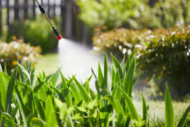 24/7 Emergency Mosquito Control experts in Long Lake, IL